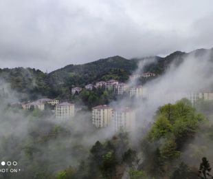 实景图