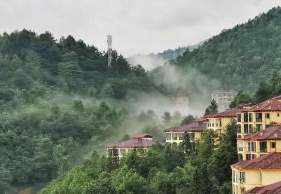 长青森林康养度假区